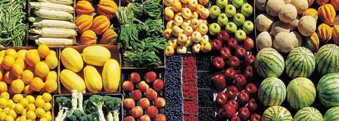 La Rubrica del Venerdì