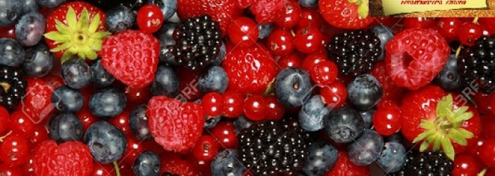 Lamponi, mirtilli, ribes, fragole, more,  sono pronti per arrivare sulle nostre tavole.