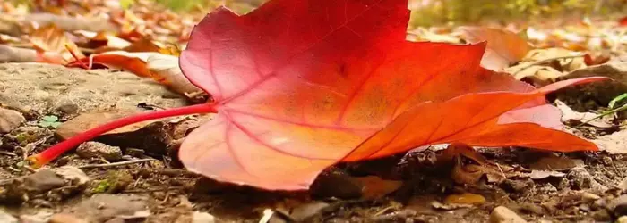 Rubrica di Venerdì 27 Settembre 2019