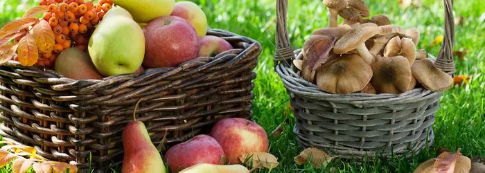 Rubrica del Venerdì 02-10-2020