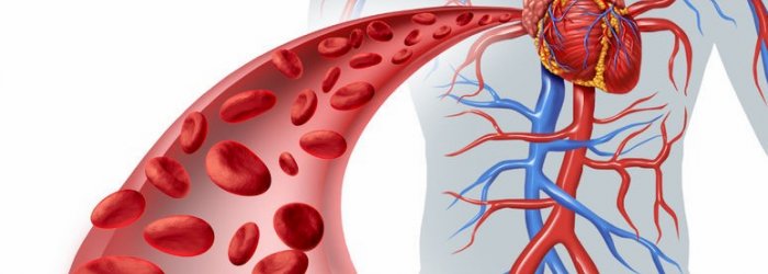 Qualche consiglio per mantenere bassa la pressione senza ricorrere alle medicine e qualche altra curiosità di questo tratteremo nella rubrica di Venerdì 8 Settembre ’17