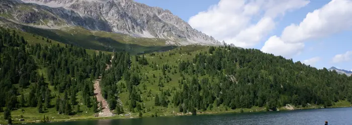 La Rubrica del Venerdì 30-07-2021