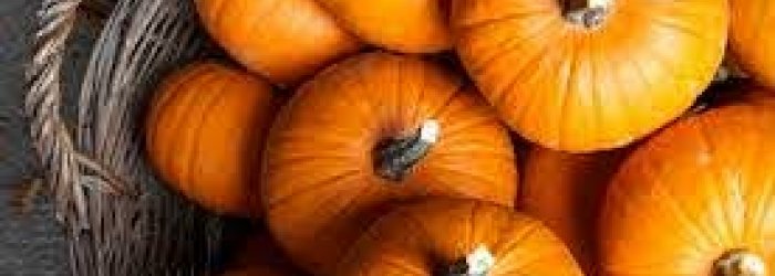 Rubrica del Venerdì 13-11-2020