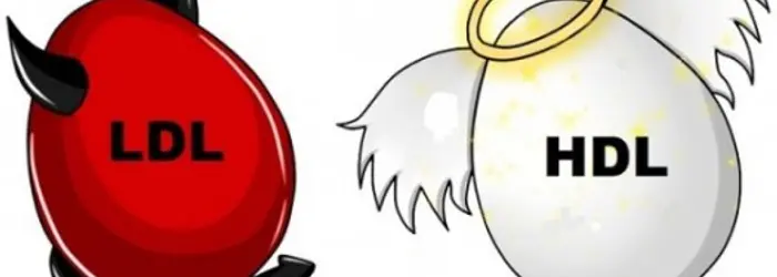 La Rubrica del Venerdì