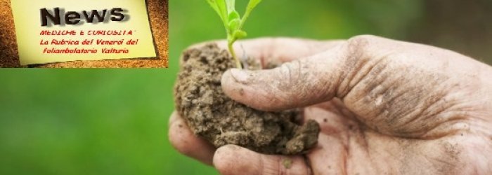 Convegno sull'Agricoltura Locale per la salute dell'uomo e dell'ambiente