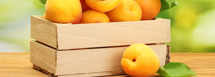 Rubrica del Venerdì 03-07-2020