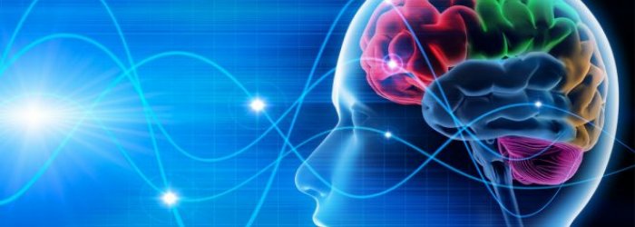 Qualche consiglio per mantenere il cervello in forma e qualche altra curiosità, di questo tratteremo nella Rubrica di Venerdì 6 Luglio ’18.