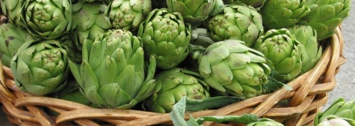 Delle virtù salutari del carciofo e di qualche altra curiosità