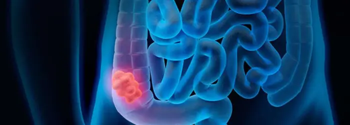 Rubrica del Venerdì 20-11-2020