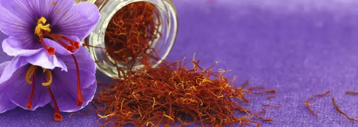 La Rubrica del Venerdì