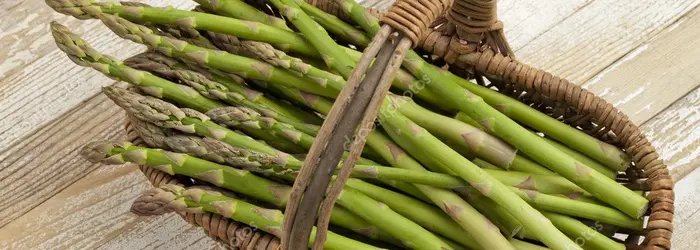 La Rubrica di Venerdì 5 Aprile