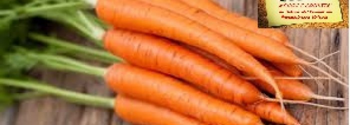 Delle magiche virtù salutari delle carote e di qualche altra curiosità di questo tratteremo nella Rubrica di Venerdì 23 Giugno.