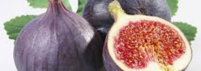 Della piacevolezza e delle proprietà salutari dei fichi   e di qualche altra curiosità, di questo tratteremo nella Rubrica di Venerdì 11 Agosto.