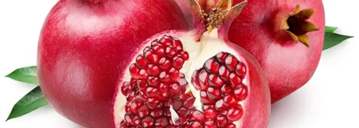 Rubrica di Venerdì 25 Ottobre 2019