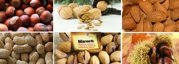 La frutta secca e le sue grandi proprietà, per diminuire il girovita addominale e proteggere il sistema cardiovascolare,