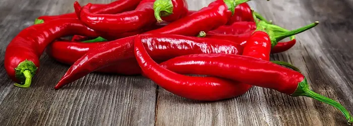 La Rubrica di Venerdì