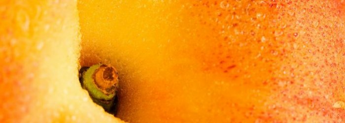 IL FRUTTO DEL MESE DI AGOSTO: LA PESCA