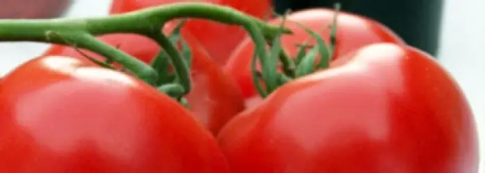 LA VERDURA DEL MESE DI AGOSTO: IL POMODORO