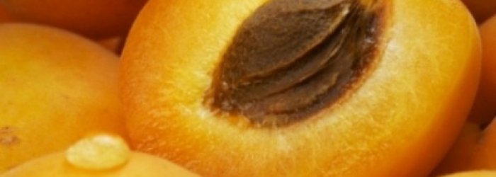IL FRUTTO DEL MESE DI LUGLIO: ALBICOCCA