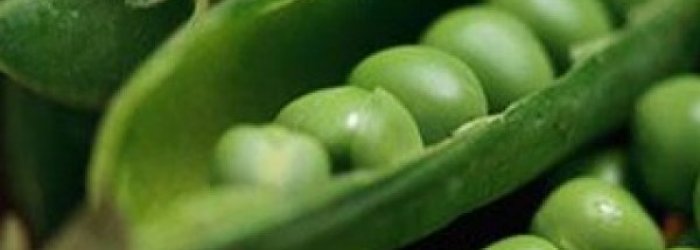 IL LEGUME DEL MESE DI GIUGNO: I PISELLI