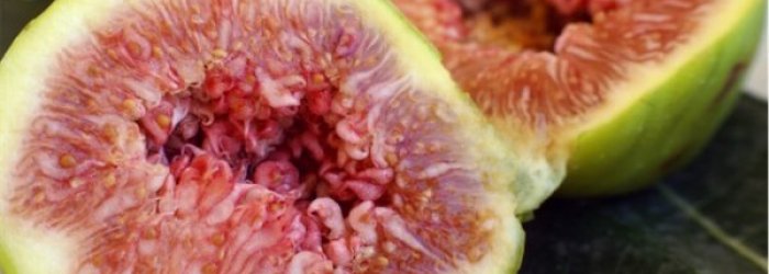 ALIMENTI DEL MESE DI SETTEMBRE