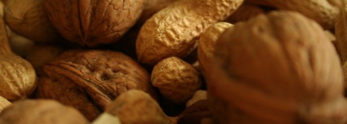 IL FRUTTO DEL MESE: LA FRUTTA SECCA