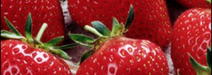 IL FRUTTO DEL MESE: FRAGOLA