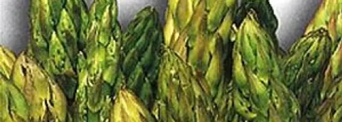 LA SCHEDA DEL MESE: ASPARAGI