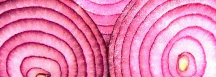 LA VERDURA DEL MESE DI SETTEMBRE: LA CIPOLLA