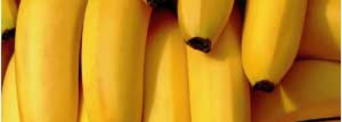 ALIMENTI DEL MESE DI GENNAIO