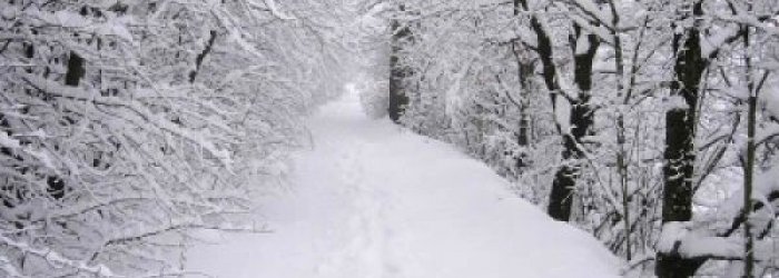 Consigli utili per difendersi dal grande freddo di questi giorni
