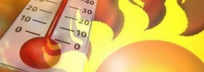 AI FREQUENTATORE DEL SITO DEL POLIAMBULATORIO: CONSIGLI UTILI PER DIFENDERSI DAL CALDO