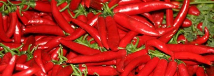 VIZI E VIRTU' DEL PEPERONCINO: FIGLIO DI DIO O EREDE DEL DIAVOLO?