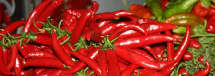 VIZI E VIRTU' DEL PEPERONCINO: FIGLIO DI DIO O EREDE DEL DIAVOLO?