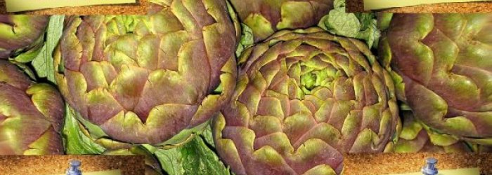 LA RUBRICA DEL VENERDI' - 26/04/2013