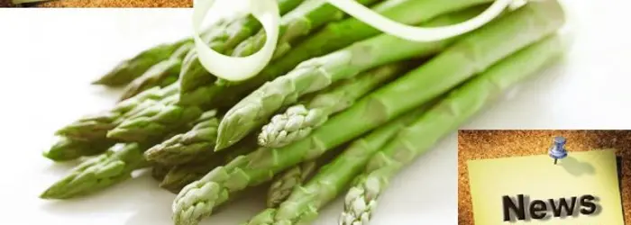 LA RUBRICA DEL VENERDI' - 03/05/2013