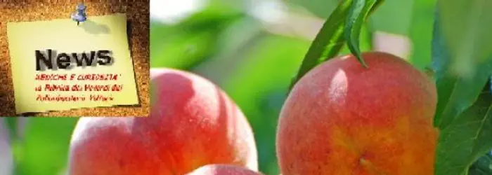 La RUBRICA DEL VENERDI' del 12/07/2013