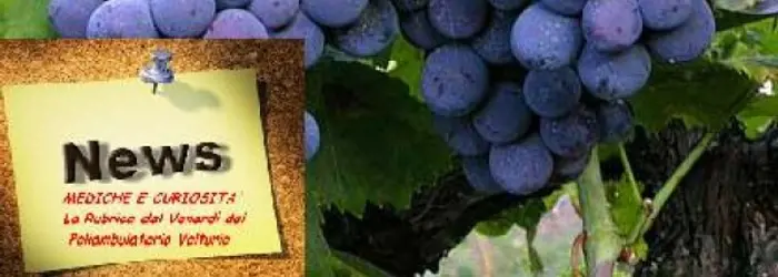 La RUBRICA DEL VENERDI' del 13/09/2013