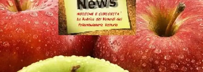 La RUBRICA DEL VENERDI' del 20/09/2013