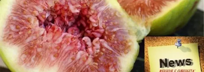 La RUBRICA del VENERDI' del 27/09/2013