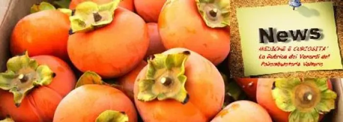 La RUBRICA DEL VENERDI' del 01/11/2013