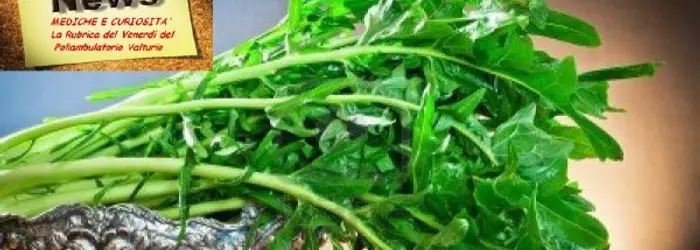 La RUBRICA del VENERDI' del 22/11/2013