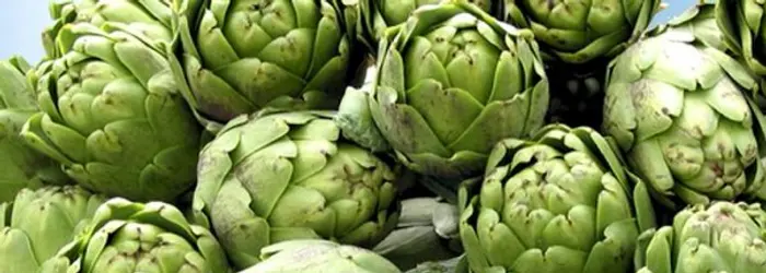 La RUBRICA del VENERDI' del 13/12/2013