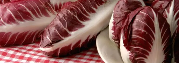 La RUBRICA DEL VENERDI' del 17/01/2014