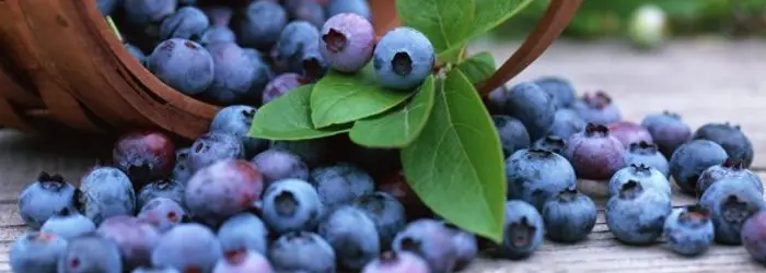 LA RUBRICA del VENERDI' del 18/04/2014