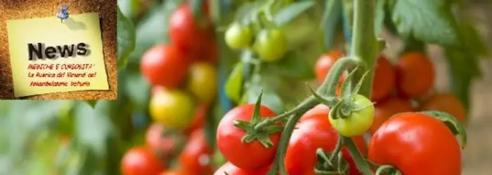 La RUBRICA del VENERDI' del 27/06/2014