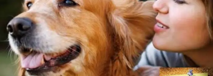 LA RUBRICA del VENERDI' del 01/08/2014