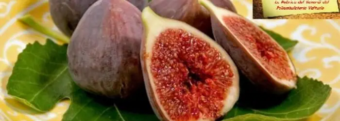 LA RUBRICA del VENERDI' del 22/08/2014