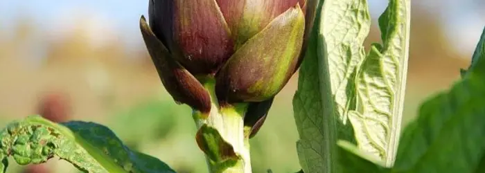 La RUBRICA del VENERDI' del 26/09/2014