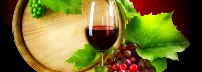 IL VINO - INFORMAZIONE SUI COMPONENTI E SUGLI EFFETTI